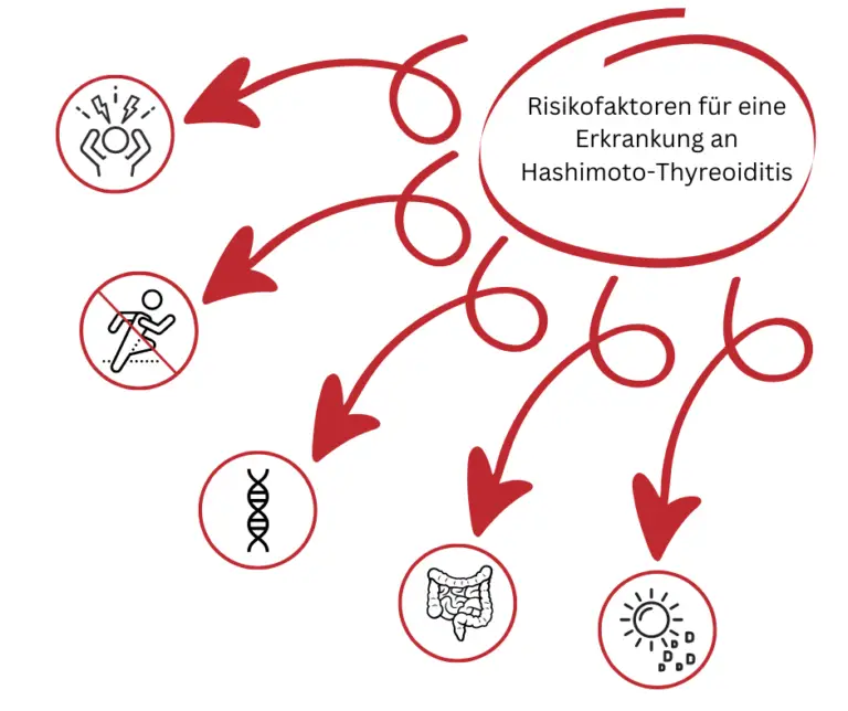 Risikofaktoren fuer eine Erkrankung an Hashim oto Thyreoiditis 2 Final